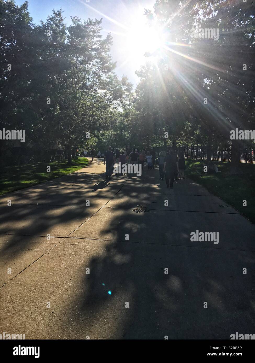 Walking in the park into the sun. - Smartphone Captured Stock Image