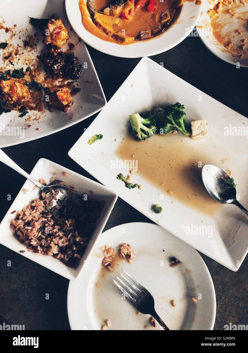 It was a great vegan feast! - Smartphone Captured Stock Image
