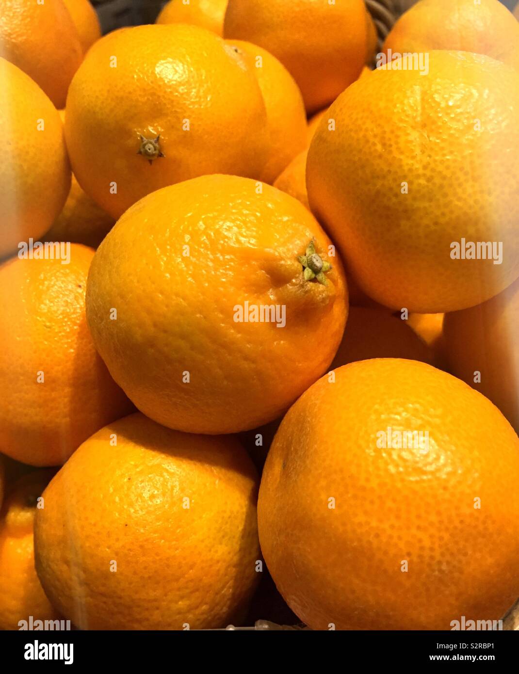 Clementine oranges Display for sale in an upscale gourmet grocery store