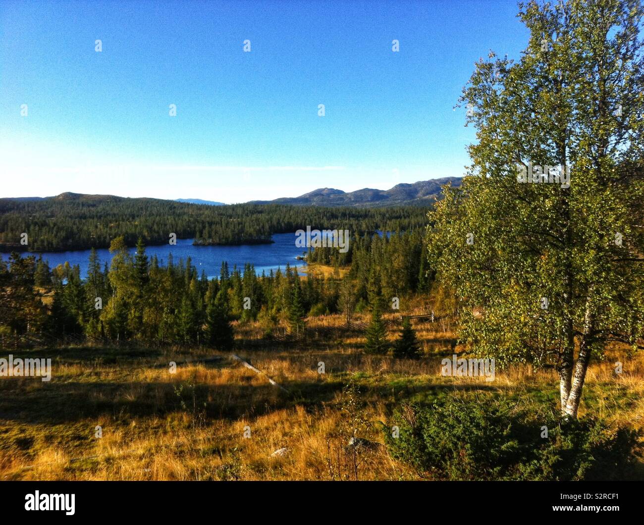 The deep blue waters of a lake surrounded by forest in central Norway with lengthening shadows on a summer evening - Smartphone Captured Stock Image
