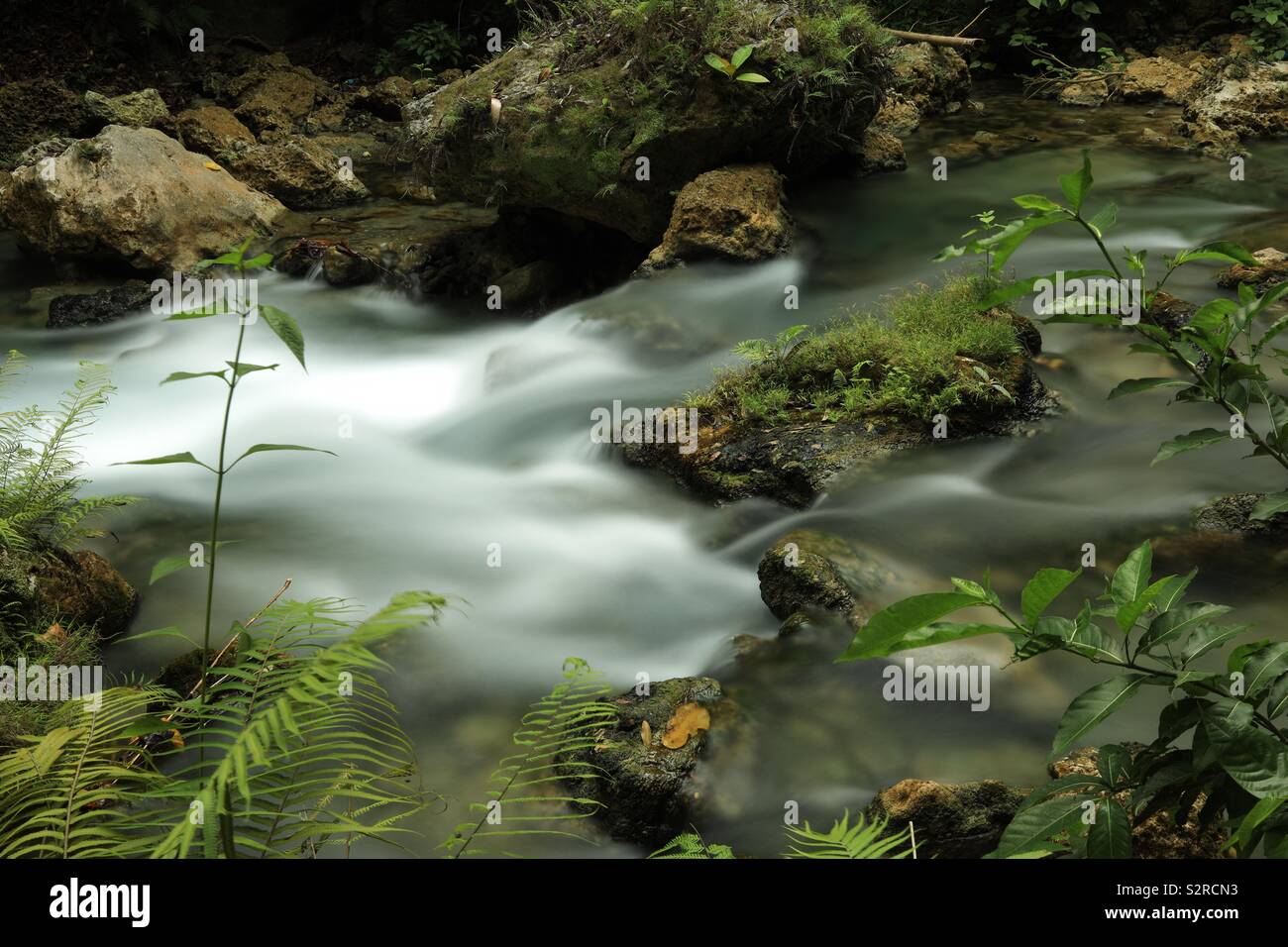 Kawasan Falls In Cebu Island Of Philippine Stock Photo Alamy