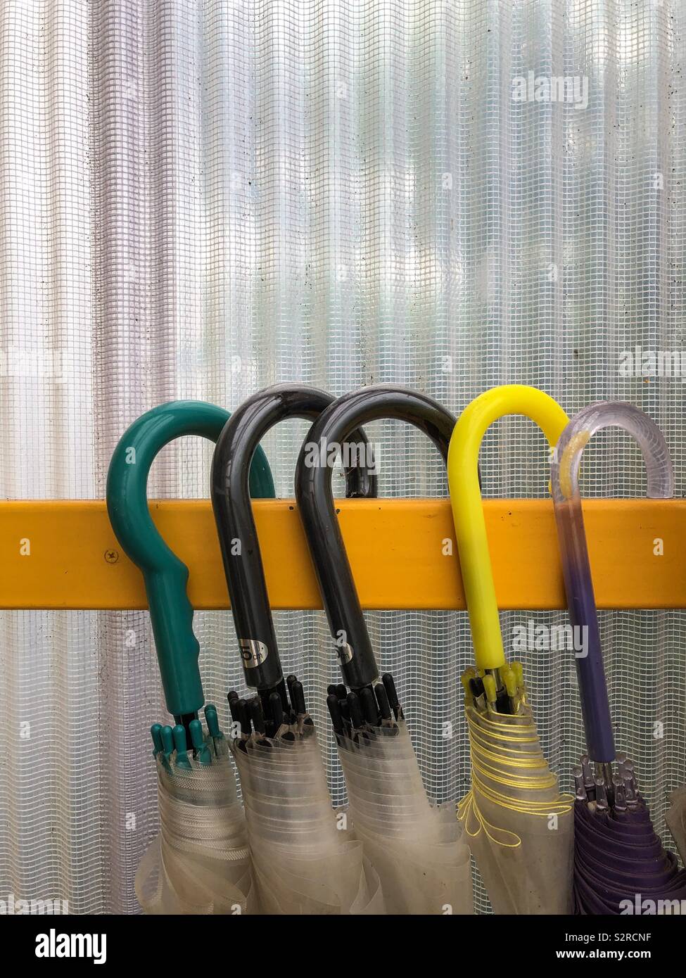 Row of umbrellas inside a home. - Smartphone Captured Stock Image