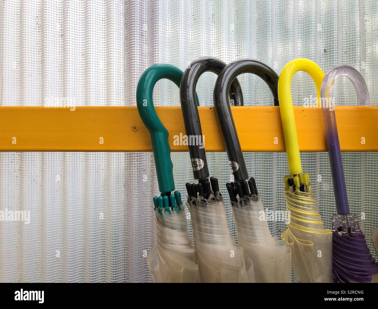 Row of umbrellas at the ready inside a house. - Smartphone Captured Stock Image