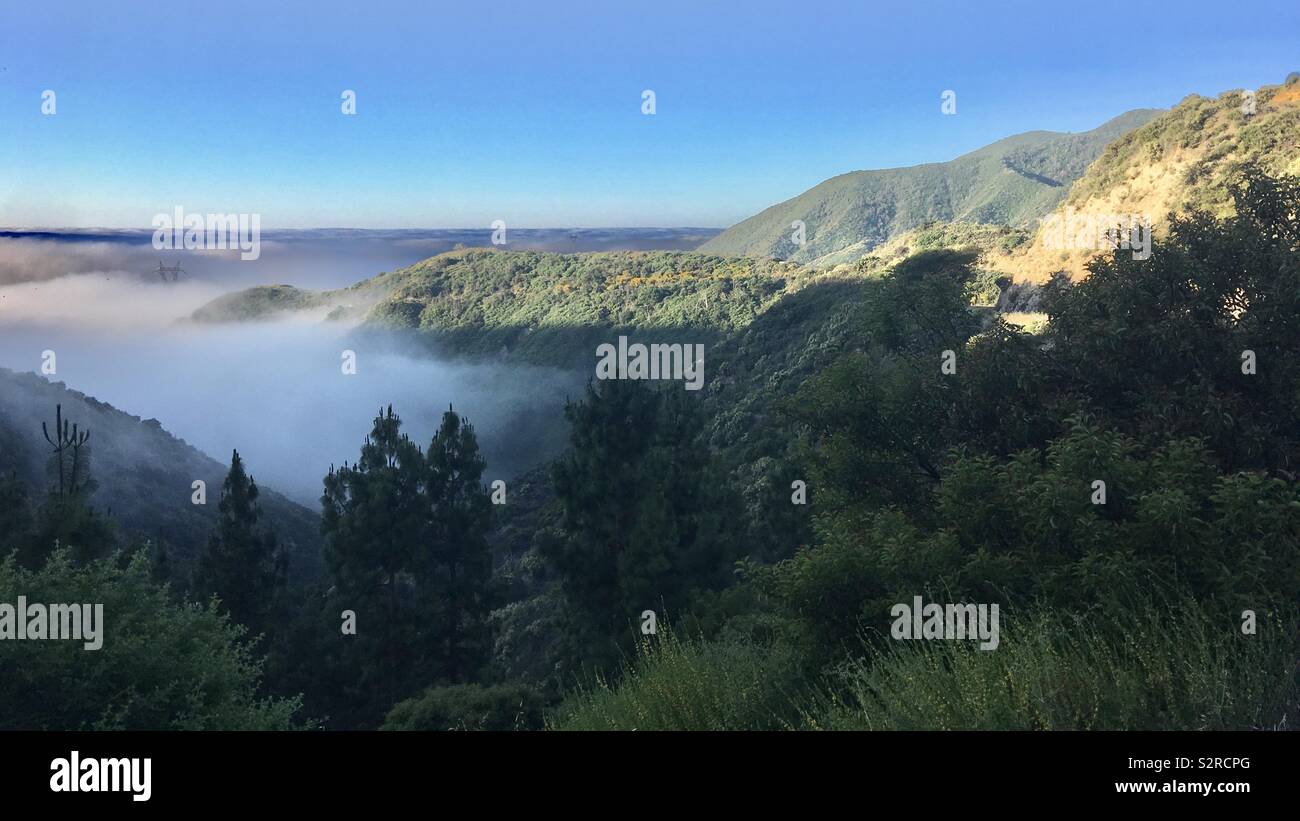 Morning view across Angeles National Forest with sun appearing, blue sky and low-lying fog in the valley below - Smartphone Captured Stock Image