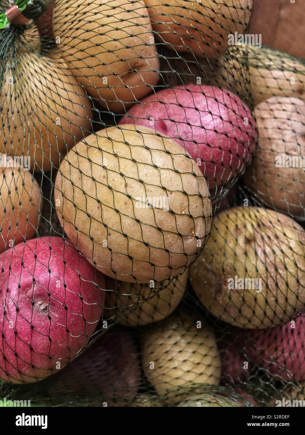 Medley of red and white potatoes wrapped in green plastic net bags. - Smartphone Captured Stock Image