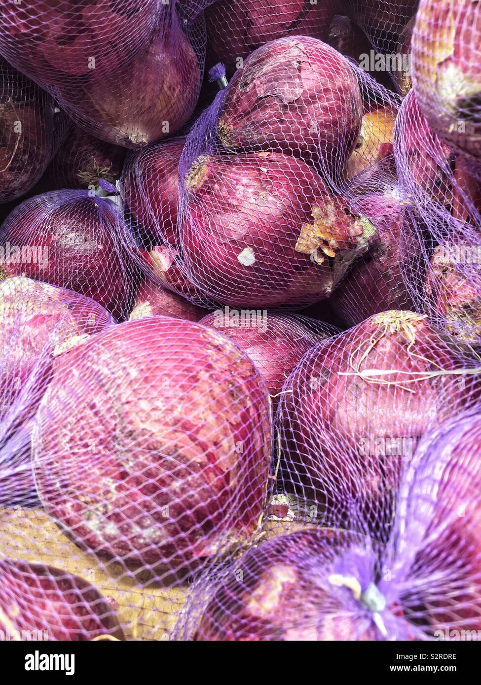 Purple plastic net bags of red onions. - Smartphone Captured Stock Image