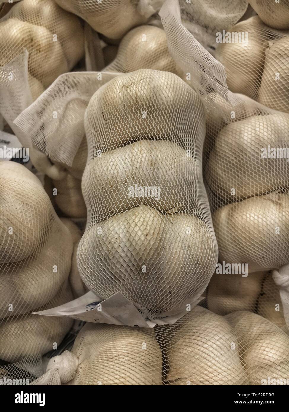 White net bags of ripe raw garlic bulbs. - Smartphone Captured Stock Image