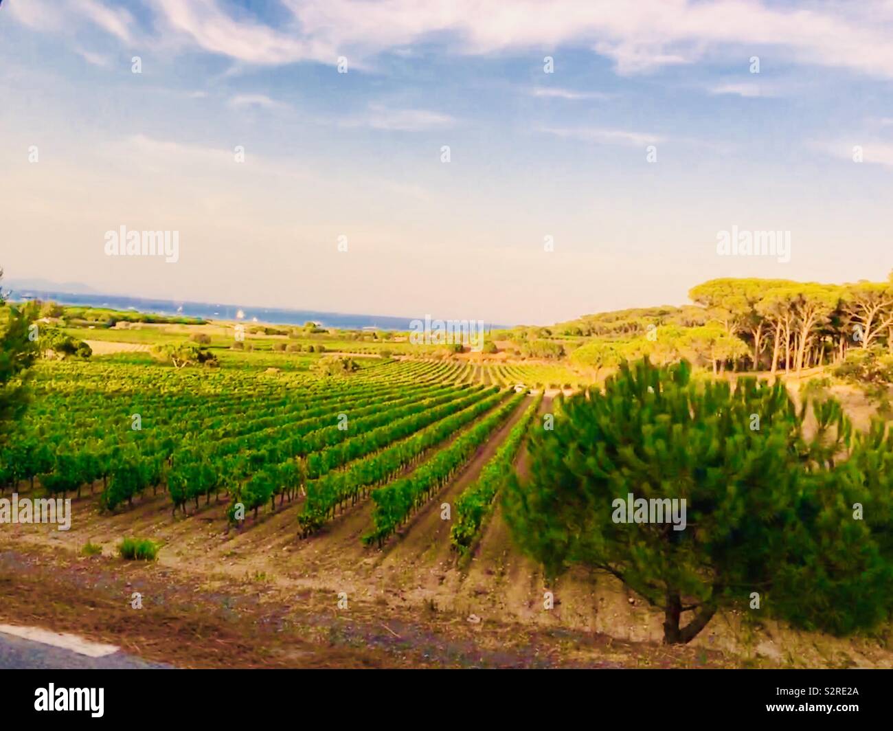 Ramatuelle France, overlooking the grape vines and Mediterranean Sea Stock Photo
