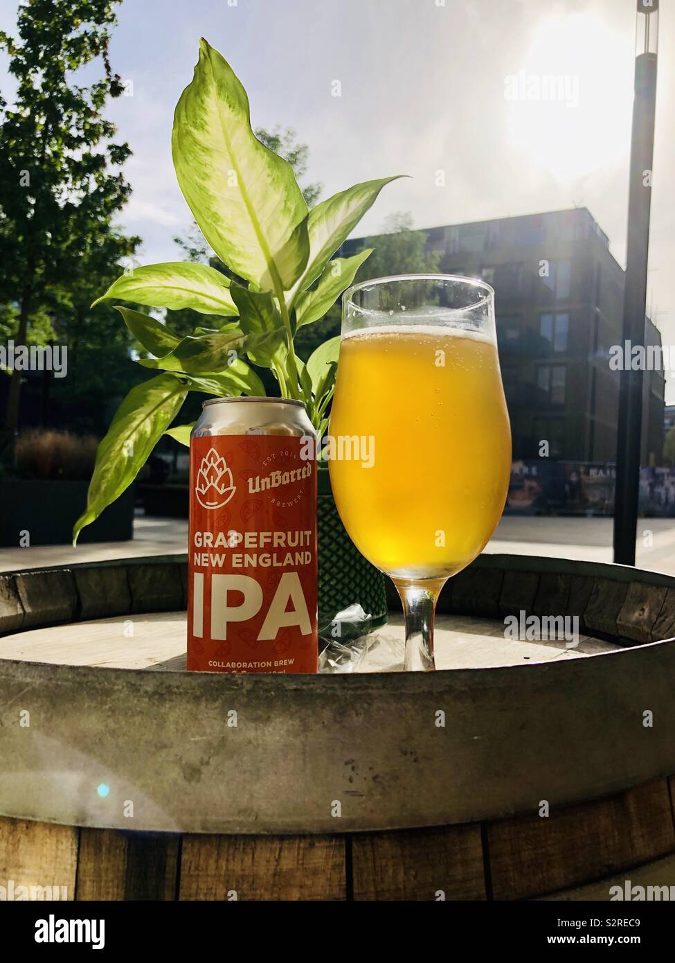 Grapefruit ipa beer sitting on a barrel in the sun Stock Photo Alamy