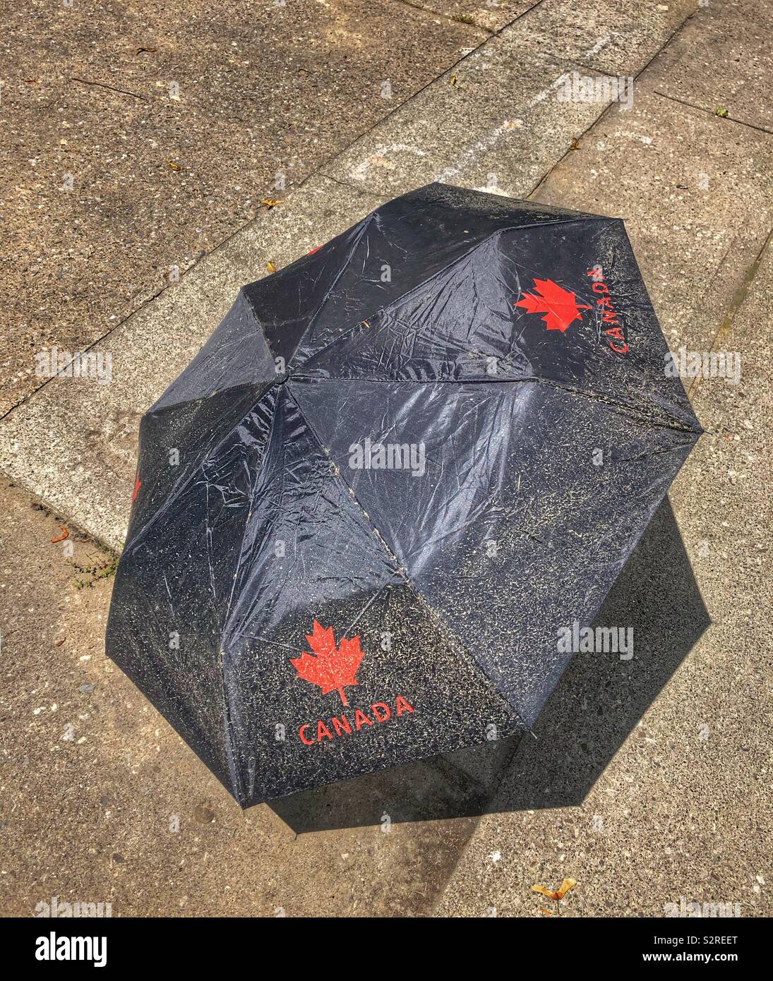 An opened black umbrella with a red Canadian maple leaf imprint. - Smartphone Captured Stock Image