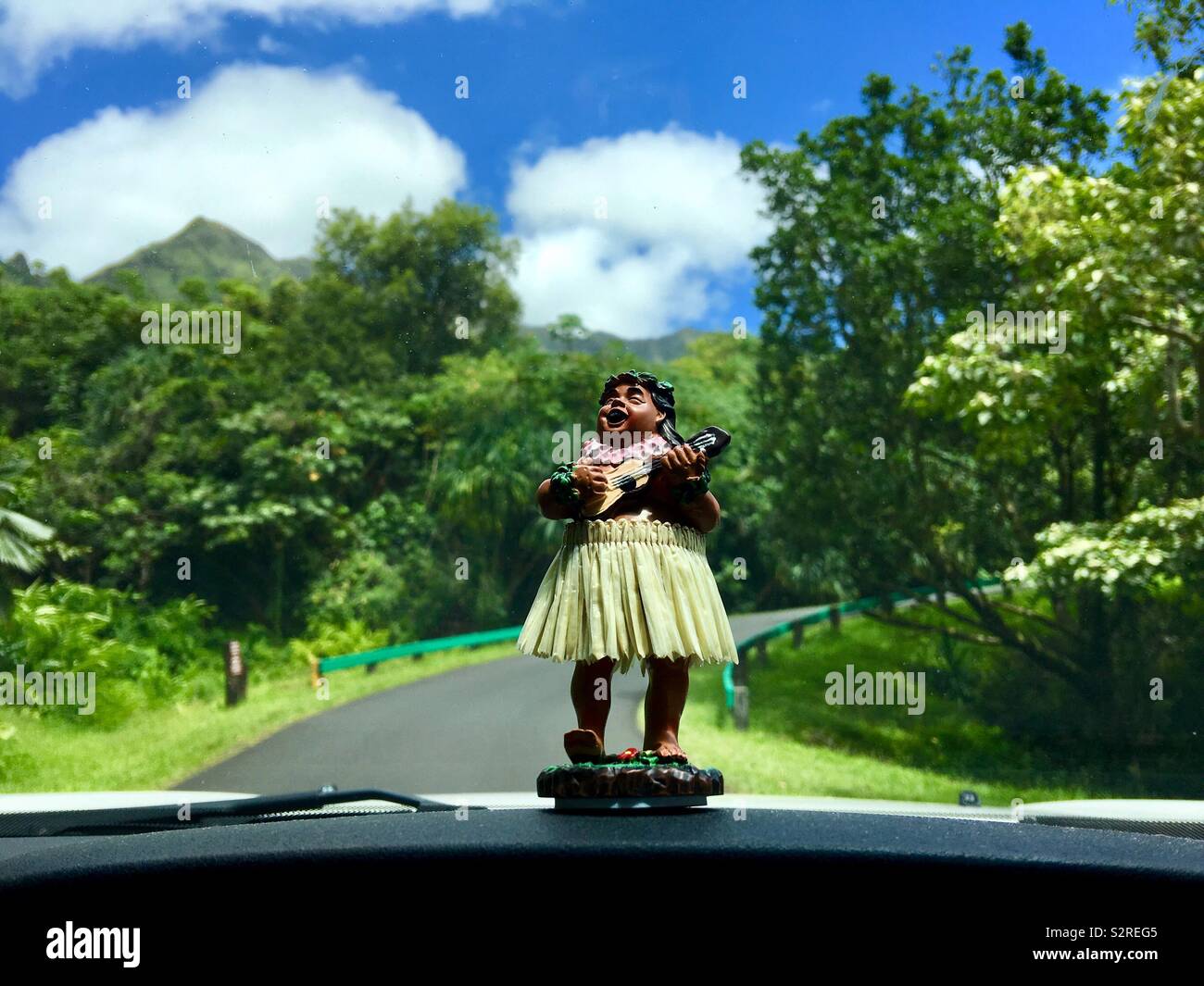 Hula bobblehead in a grass skirt on a car dashboard playing the ukulele while driving at Hoomaluhia Botanical Gardens in Kaneohe, Hawaii USA Stock Photo