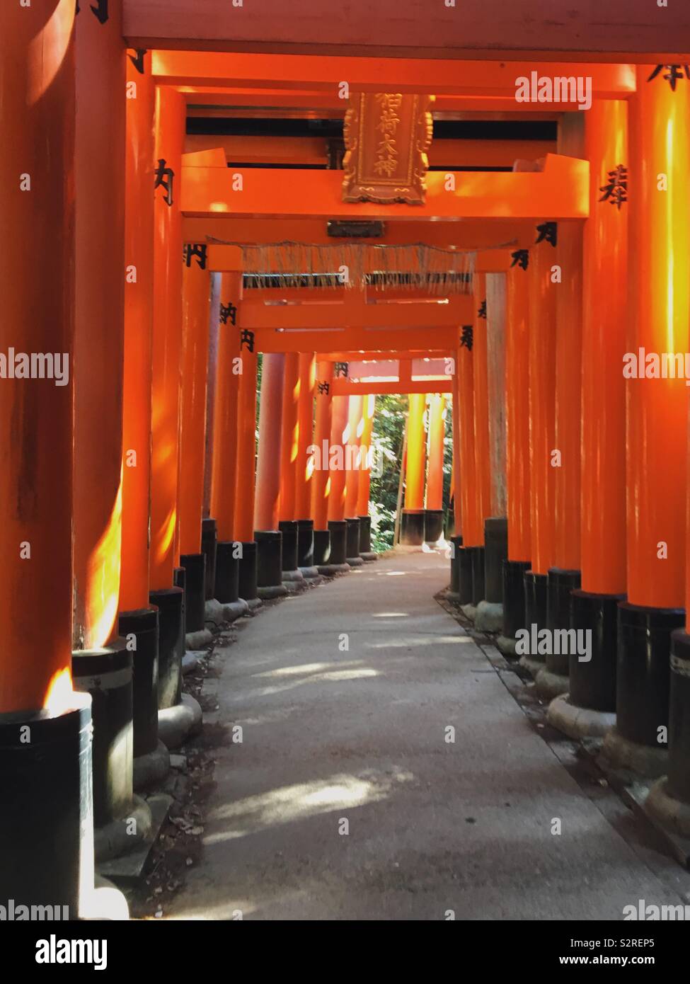 Orange torii gates hi-res stock photography and images - Alamy