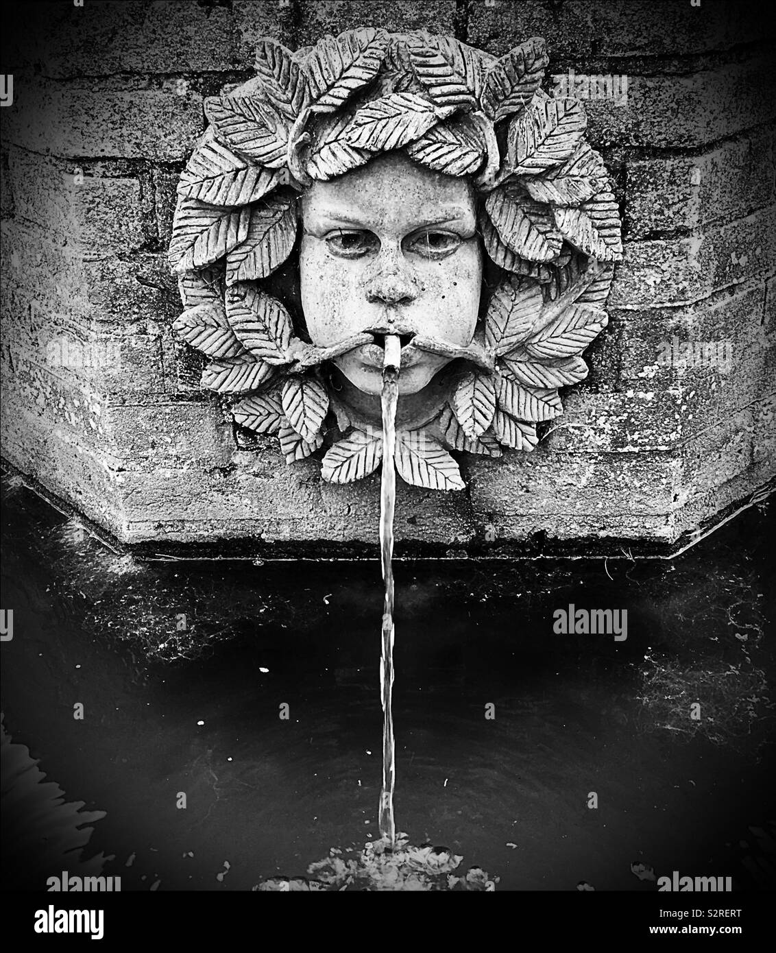 Water spout featuring a face surrounded by leaves Stock Photo Alamy