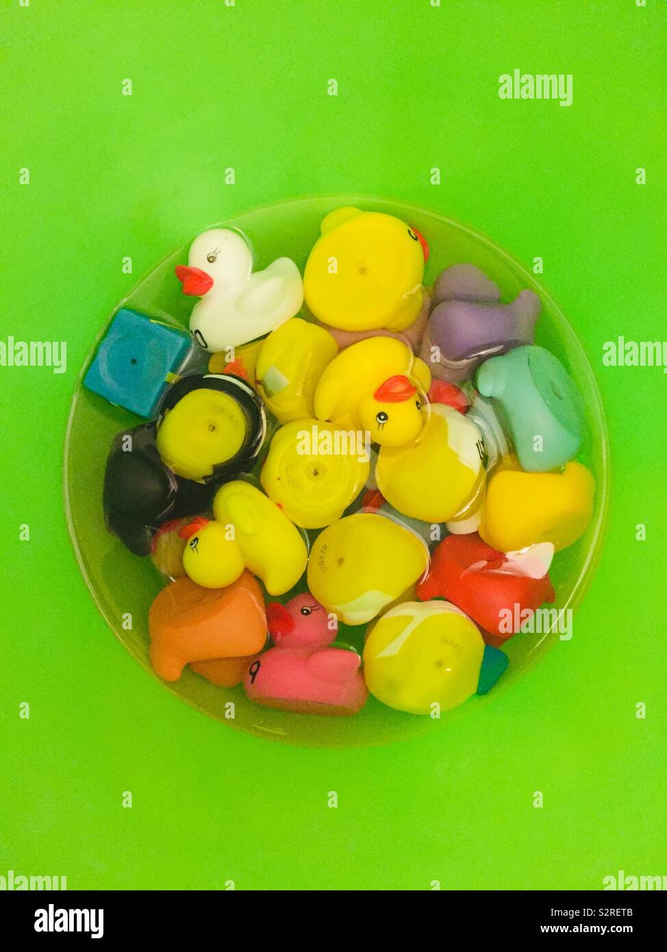 Cleaning kids toy ducks in green bucket - Smartphone Captured Stock Image