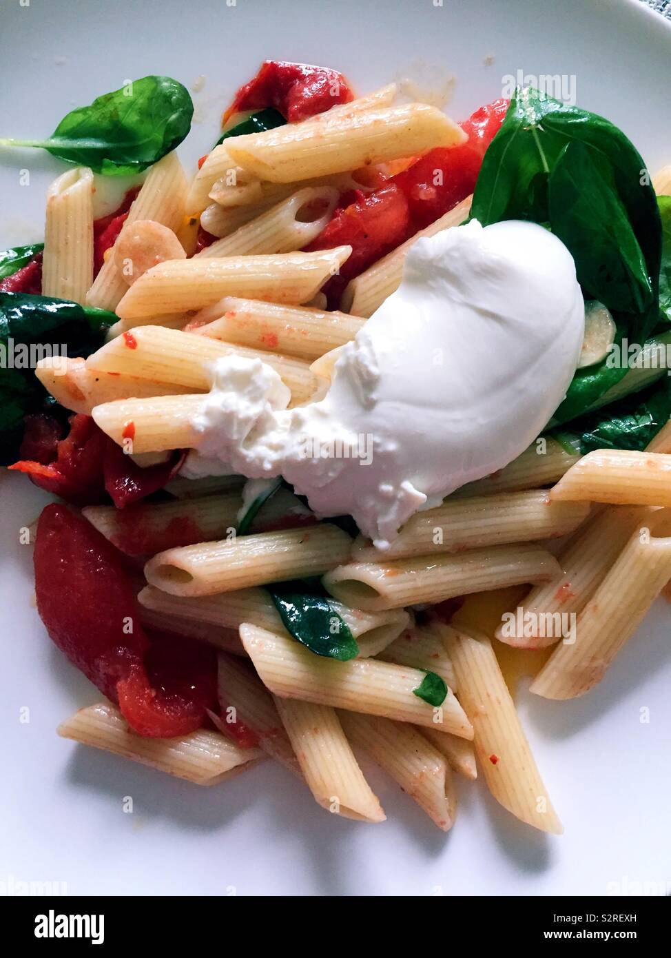 Gourmet entrée of penne pasta, plum tomatoes and fresh basil with a