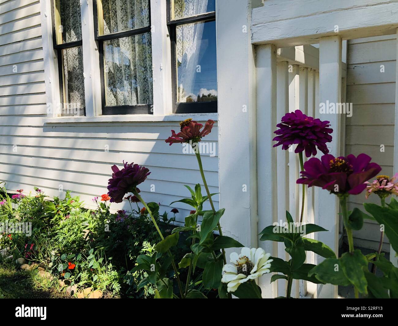 Summer flowerbeds alongside a white clapboard house on the homestead Stock Photo