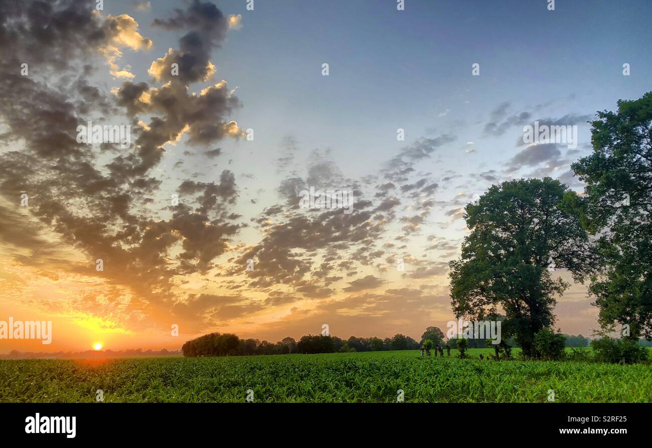 Dramatic and colorful sunrise sky over a Countryside landscape - Smartphone Captured Stock Image