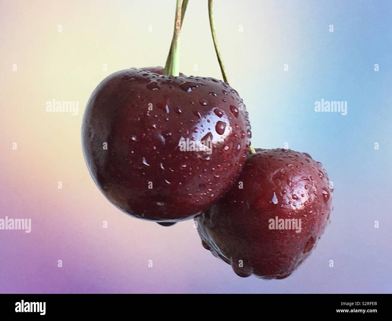 Cherries with water drops or dew - Smartphone Captured Stock Image
