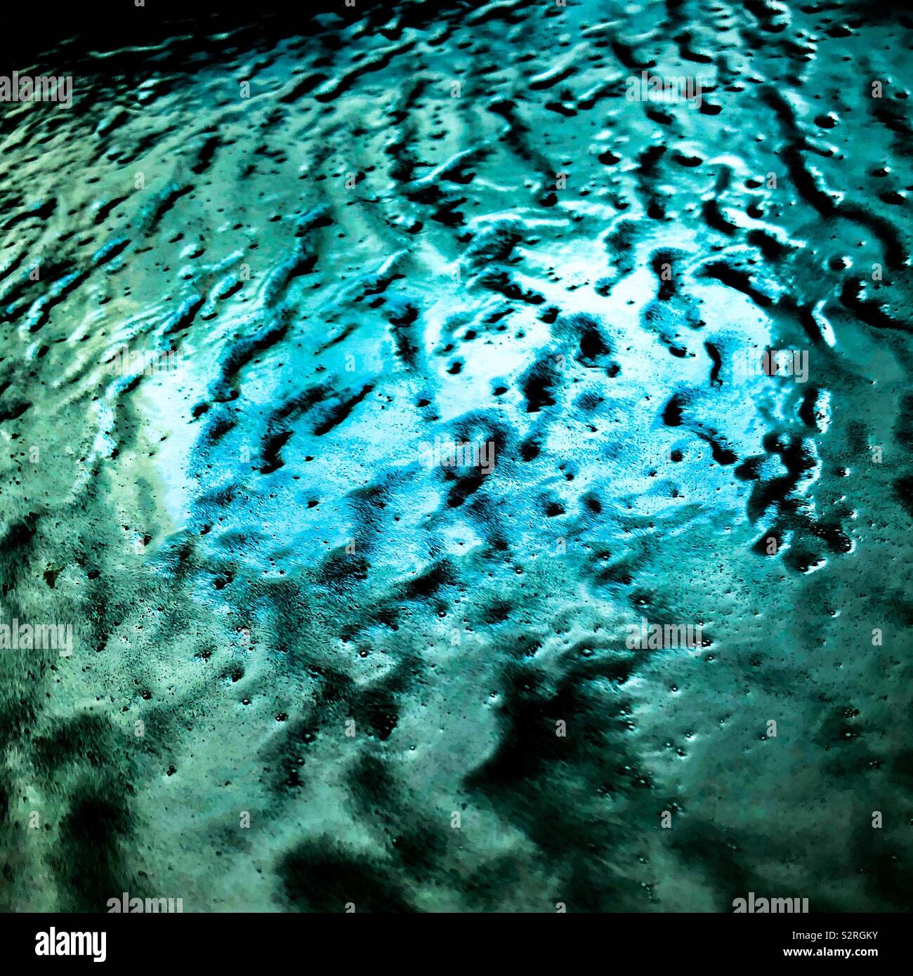 Blue green algae aquarium hires stock photography and images Alamy