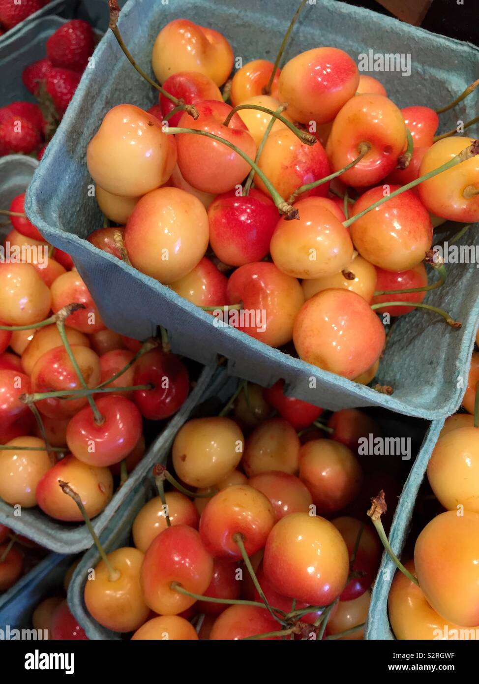 Rainier cherries for sale at a farmers market, USA Stock Photo Alamy