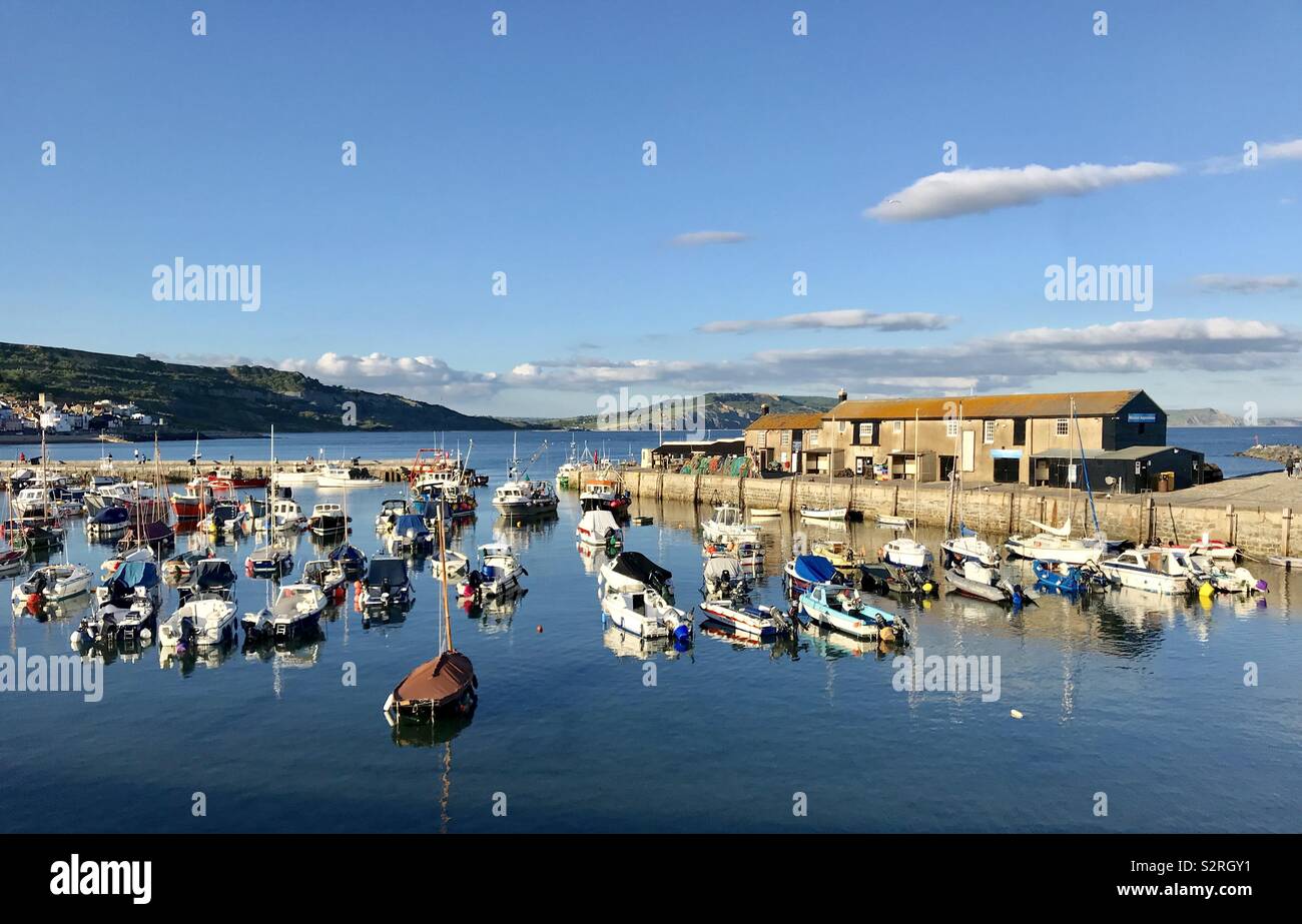 The Historic Cobb at Lyme Regis Dorset - Smartphone Captured Stock Image