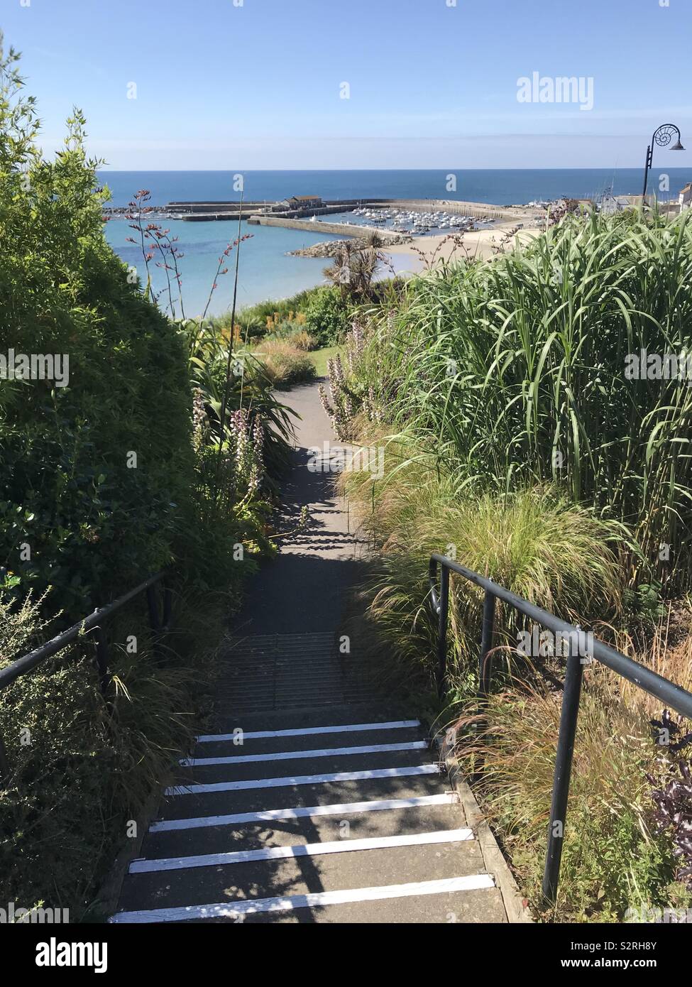 Lyme Regis and Langmore Gardens - Smartphone Captured Stock Image