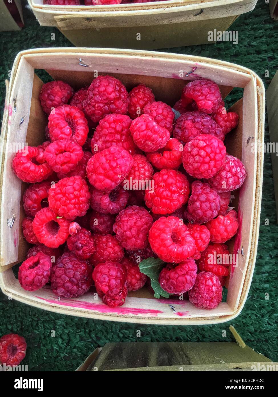 Farm fresh delicious red raspberries piled into a single serving basket. Stock Photo