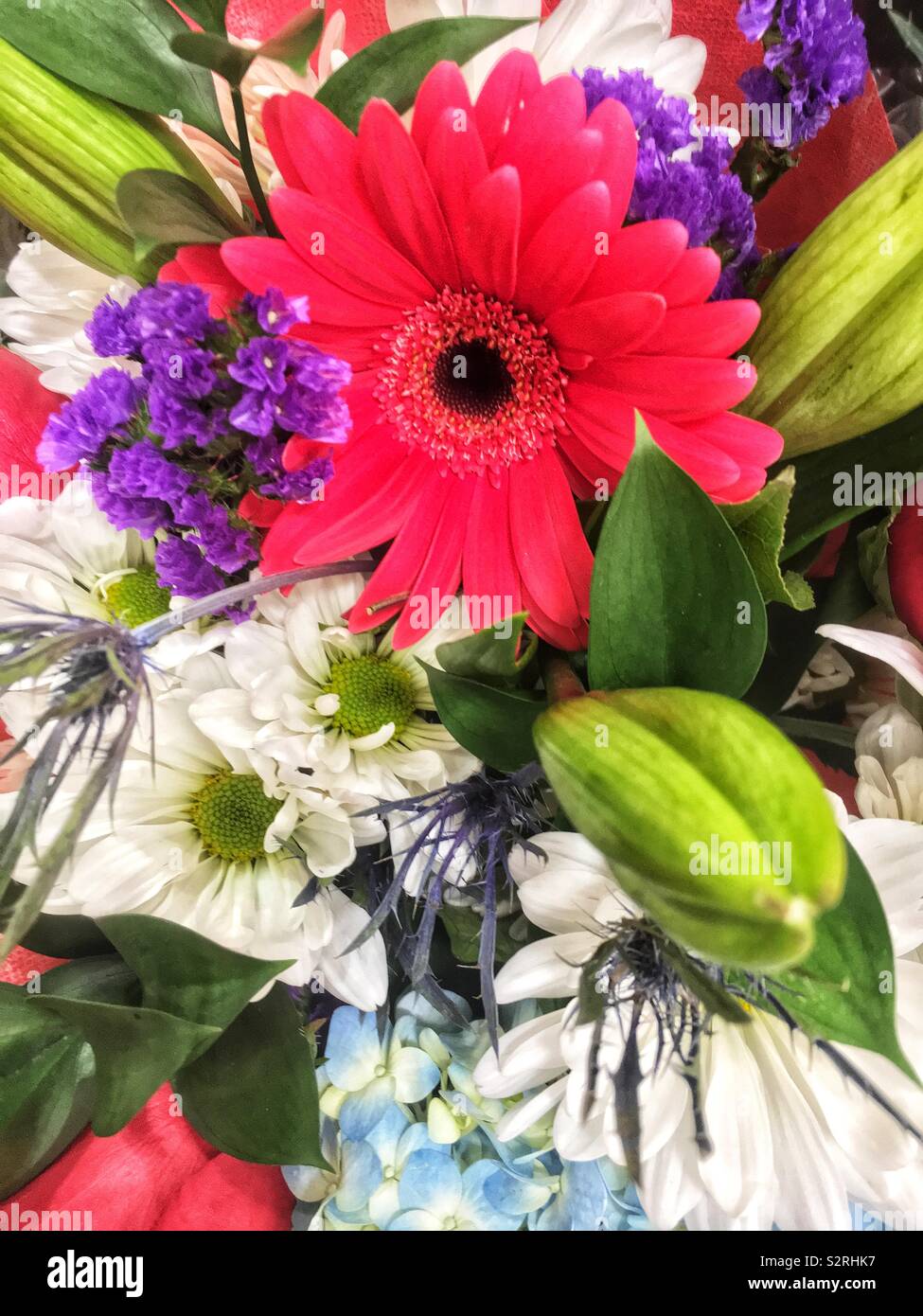 Fragrant bouquet of colorful summer blossoms. Stock Photo