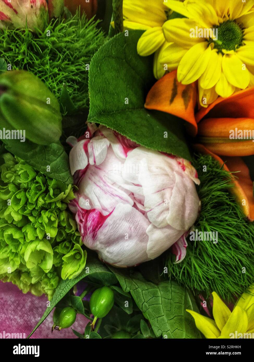Fragrant bouquet of colorful summer blossoms including a budding pink peony flower. Stock Photo