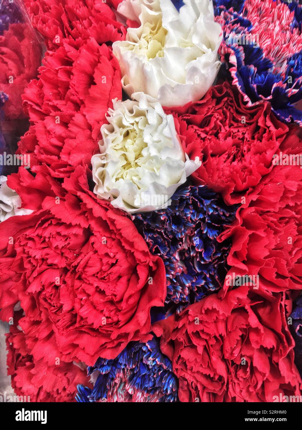 Fragrant bouquet of colorful summer blossoms including red, white, and blue carnations in time for celebrating the Fourth of July Holiday. - Smartphone Captured Stock Image