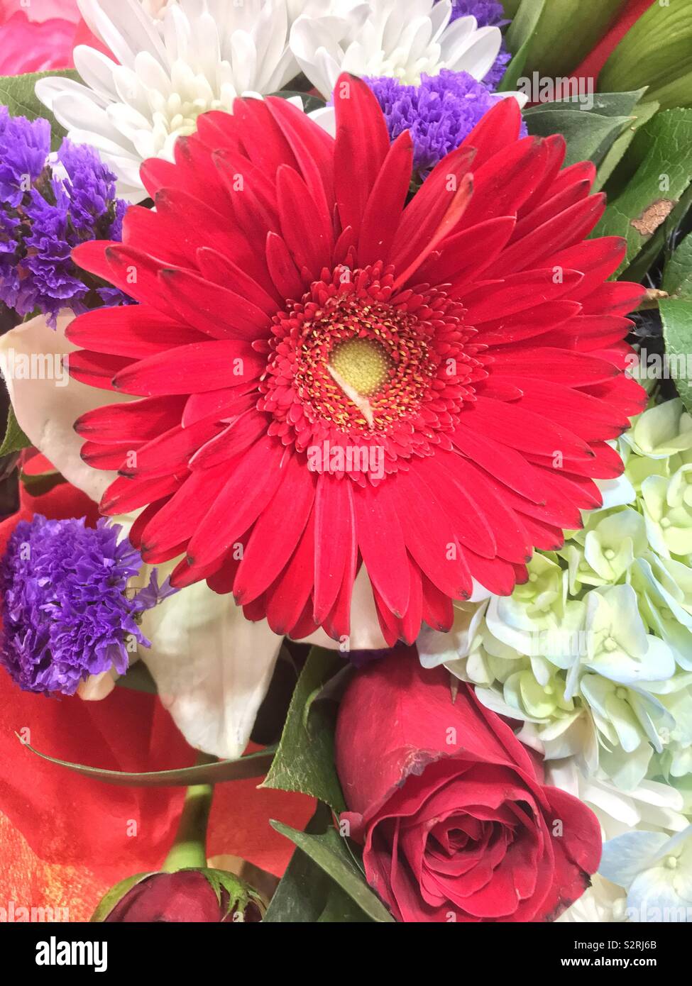 Beautiful bouquet of fresh blossoms featuring a big red daisy flower in full bloom. Stock Photo