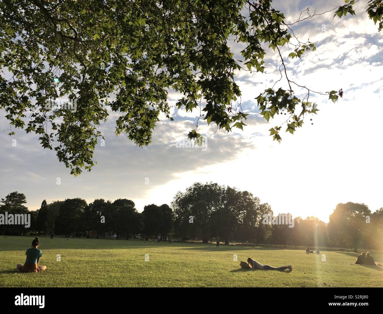 Tranquil scene  people siting on a park during sunset in Hackney Downs Park in east London - Smartphone Captured Stock Image