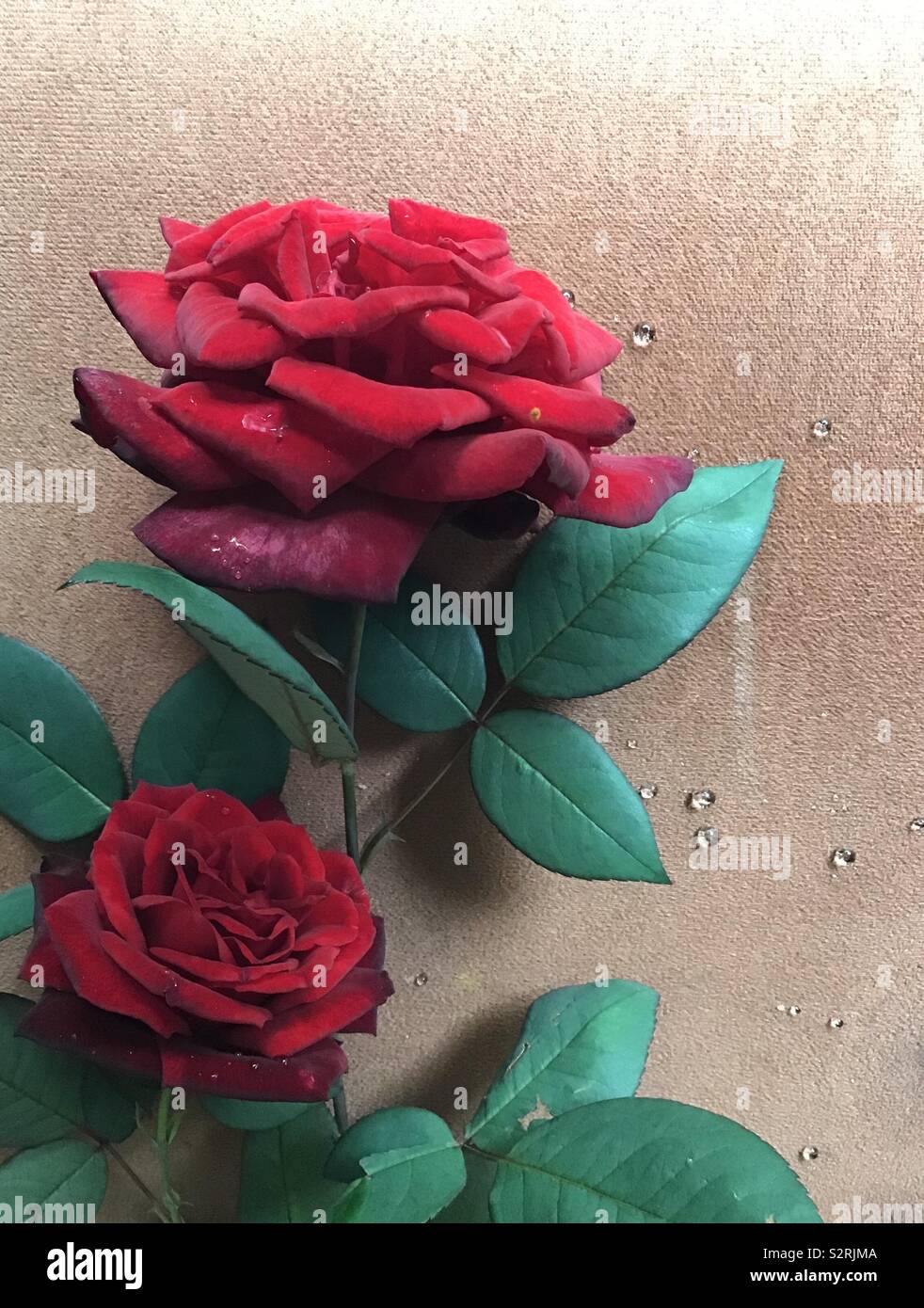 Ramo de rosas rojas Stock Photo - Alamy