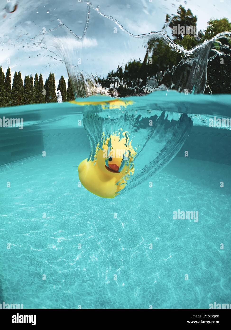 Rubber ducky plunging into swimming pool. - Smartphone Captured Stock Image