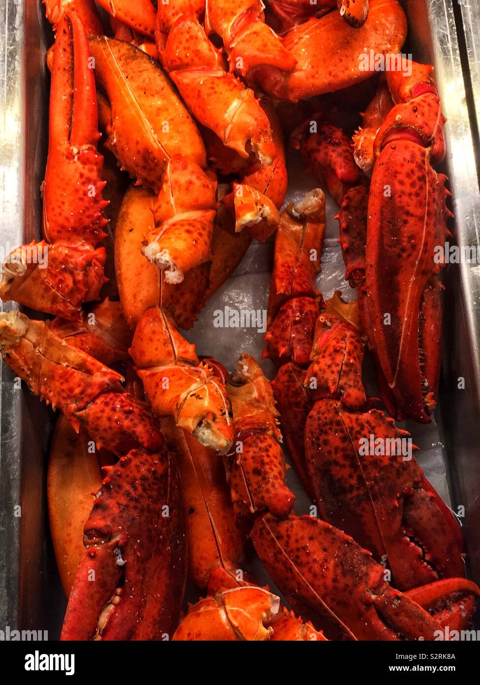 Fresh cooked king crab claws piled on a steel tray. Stock Photo