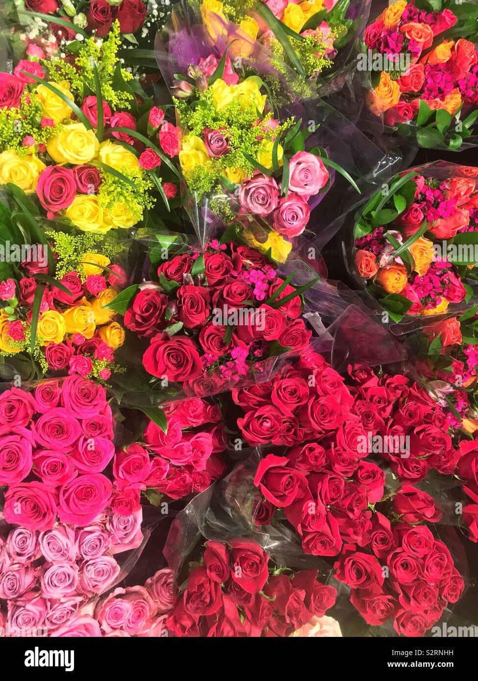Full frame of many beautiful bouquets of colorful fresh roses in full bloom. - Smartphone Captured Stock Image