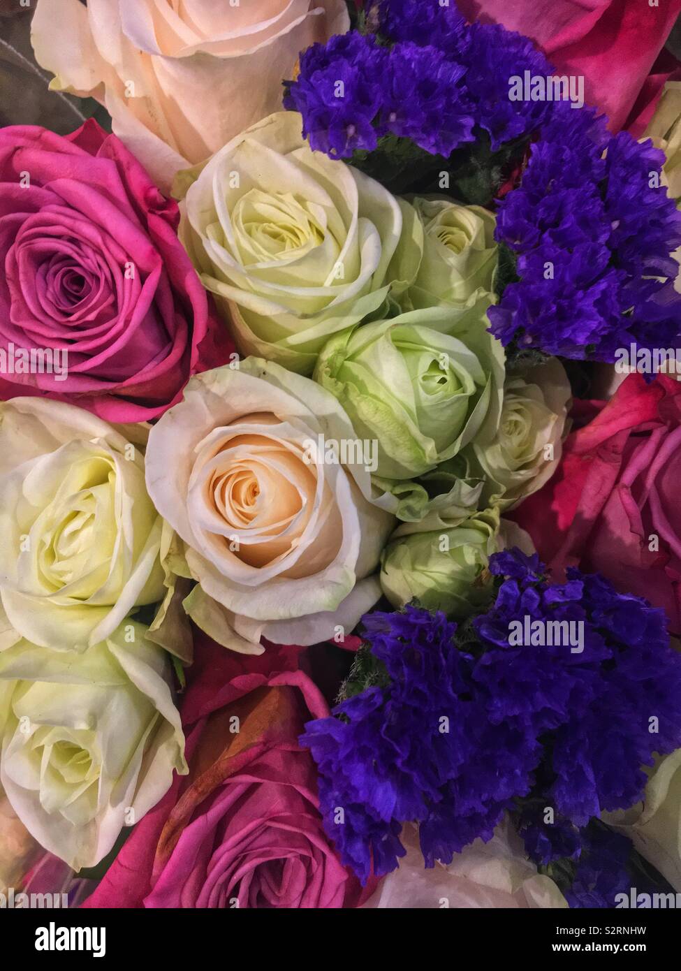 Beautiful bouquet of fresh colorful roses in full bloom. - Smartphone Captured Stock Image