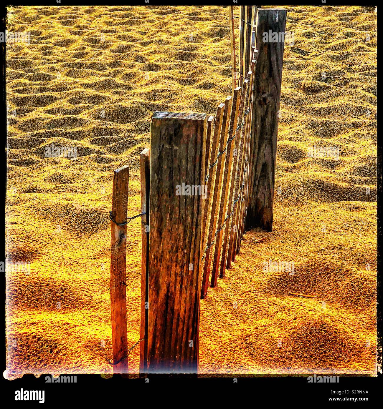 Fence on beach sand Stock Photo Alamy