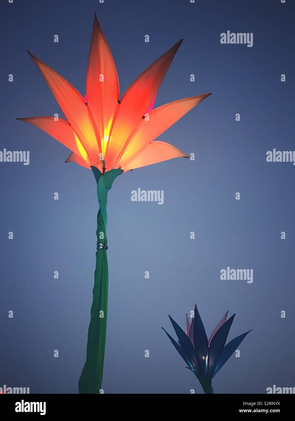 Beautiful flower decorations at the Glastonbury Festival 2019 - Smartphone Captured Stock Image