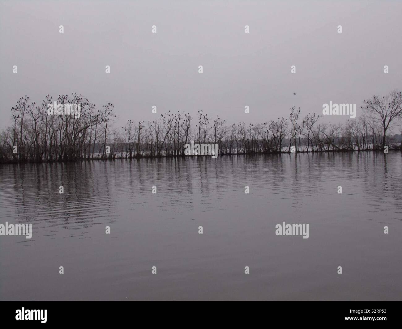 Lake Murvaul in Texas! Stock Photo Alamy