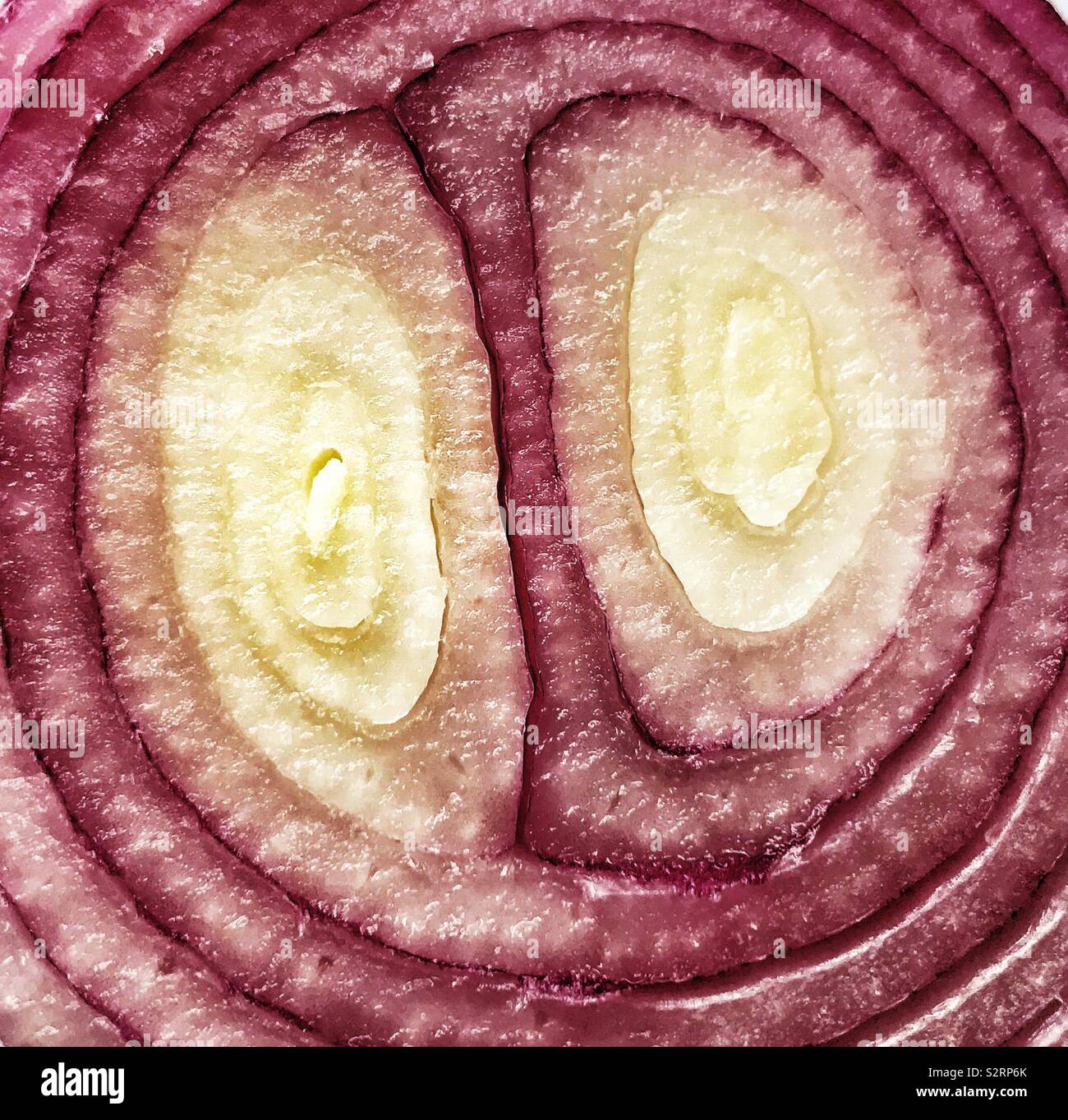 Onion Layers Vegetable Food High Resolution Stock Photography and