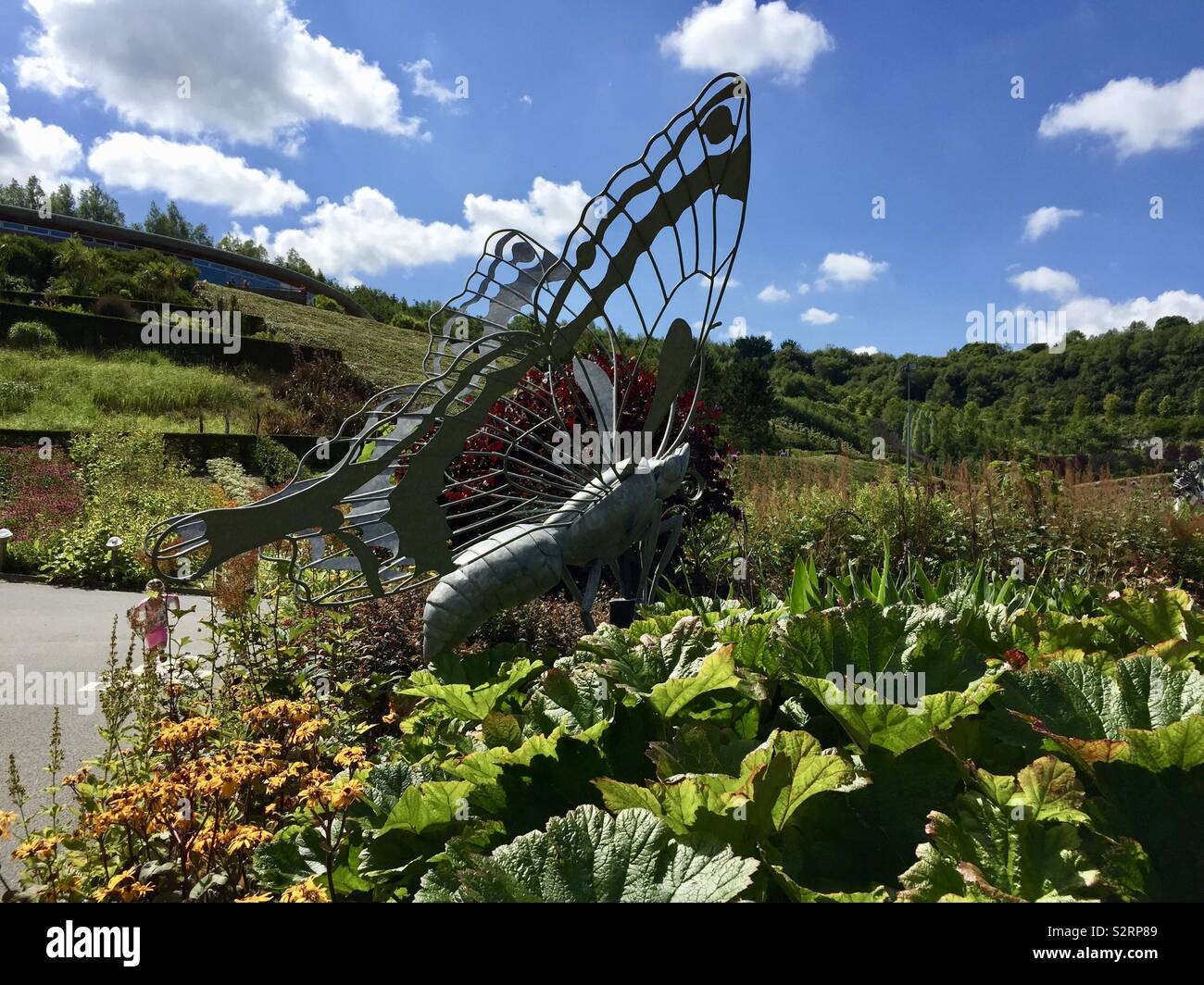Butterfly Eden project Stock Photo Alamy