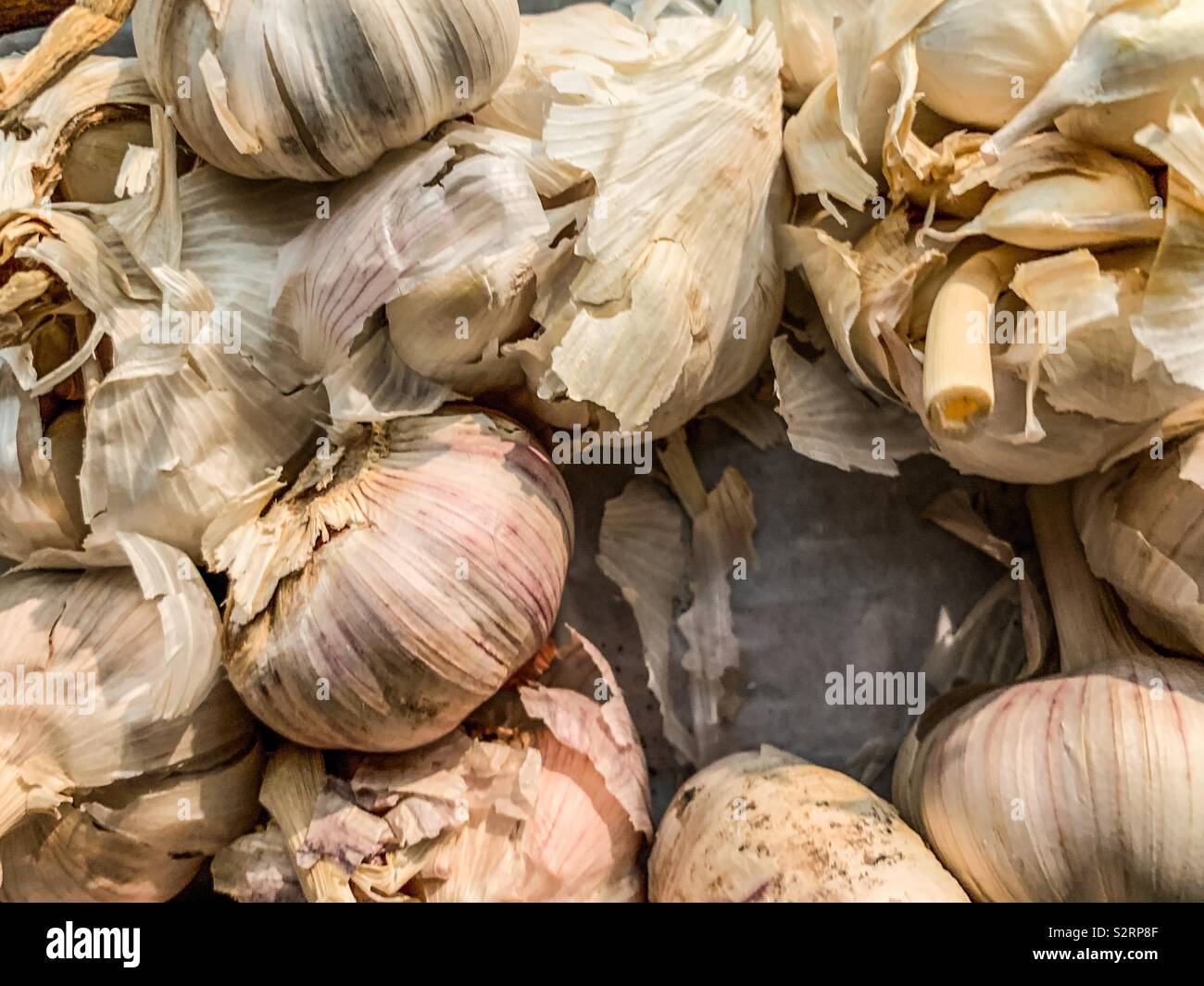 Garlic cloves - Smartphone Captured Stock Image