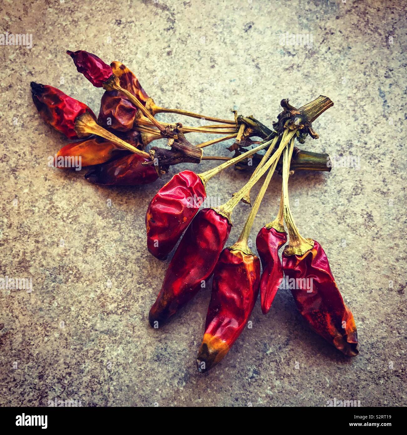 Dried red chilli peppers tied in bunches - Smartphone Captured Stock Image