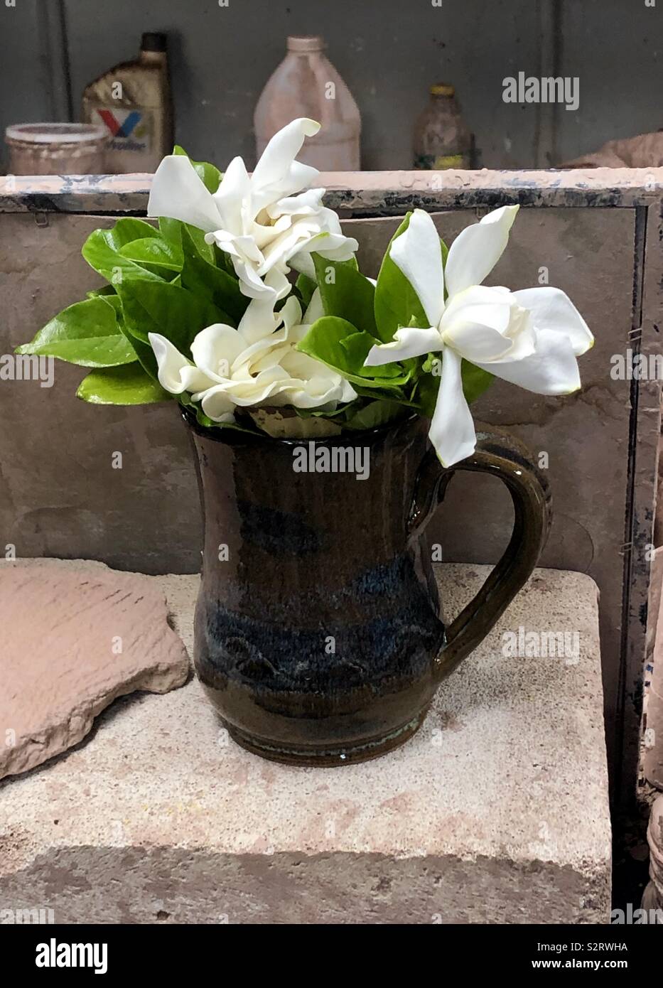 Gardenia flower in hand crafted piece of brown pottery Stock Photo
