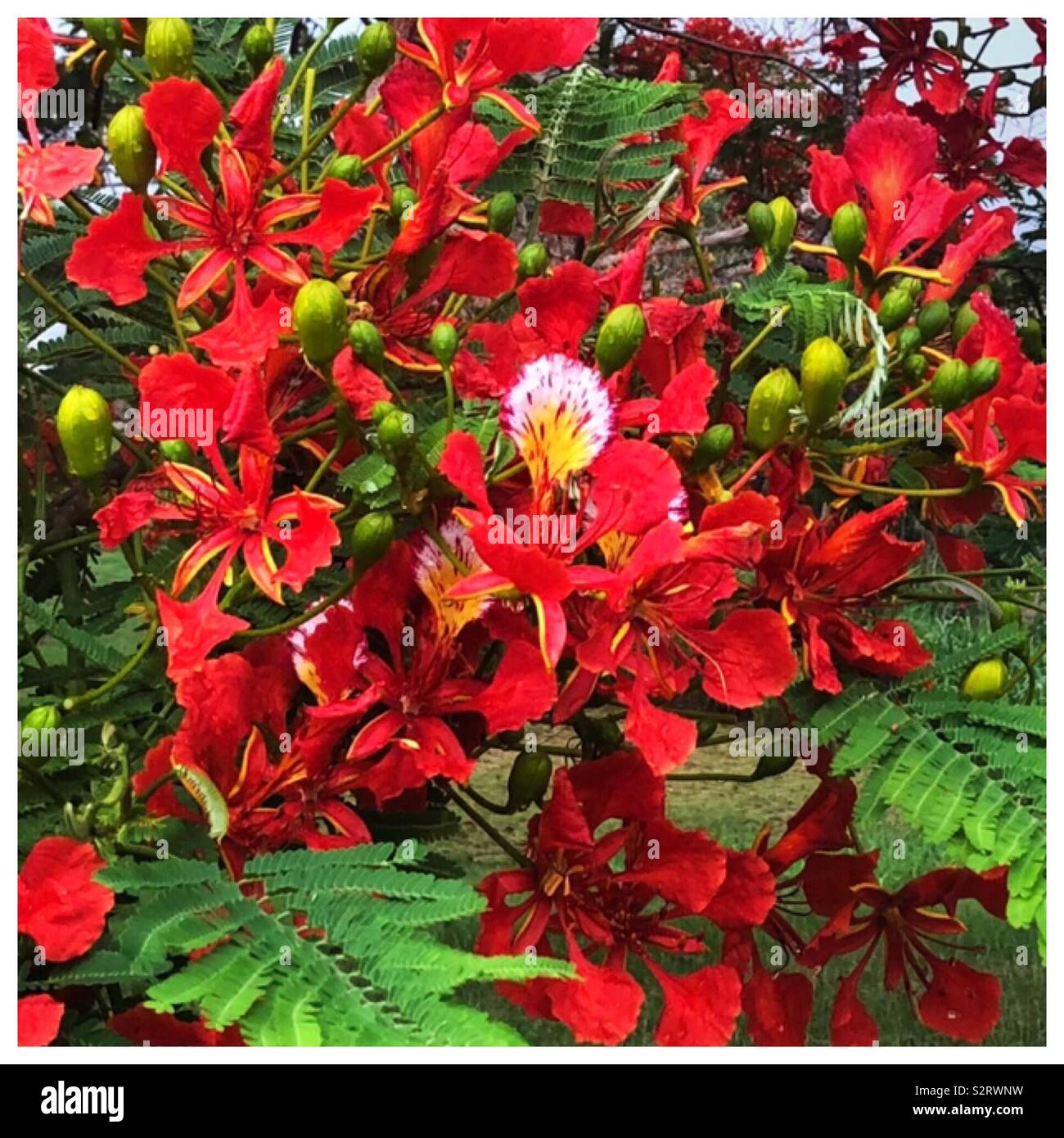 My Image 22