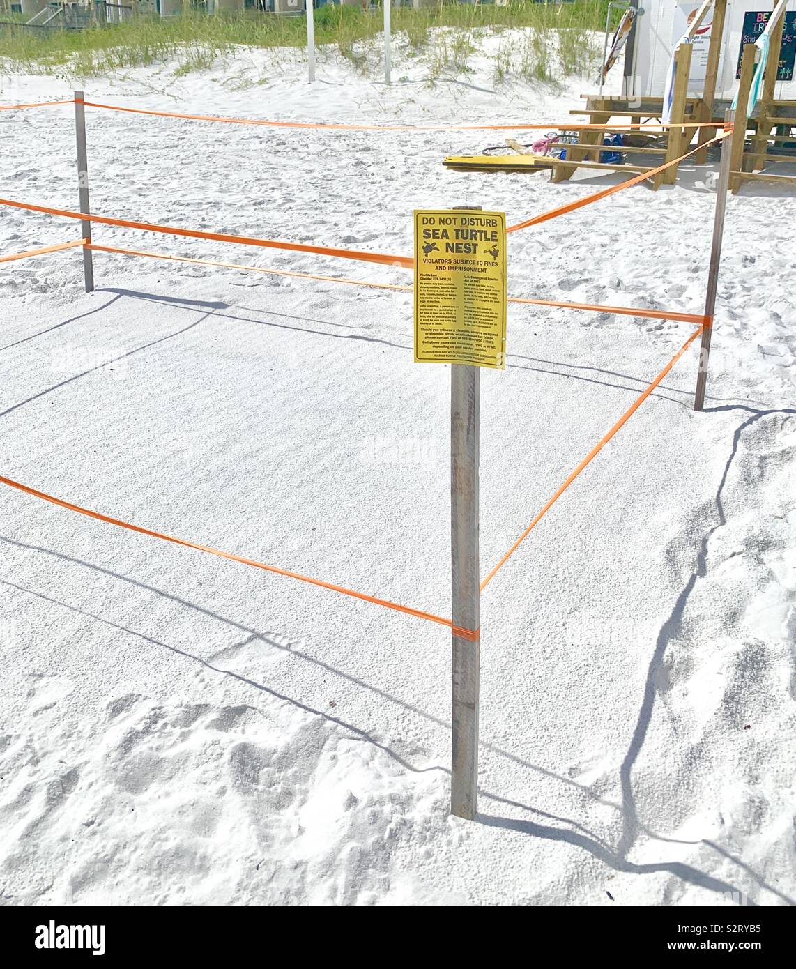 Protected sea turtle nesting area on white sand beach - Smartphone Captured Stock Image