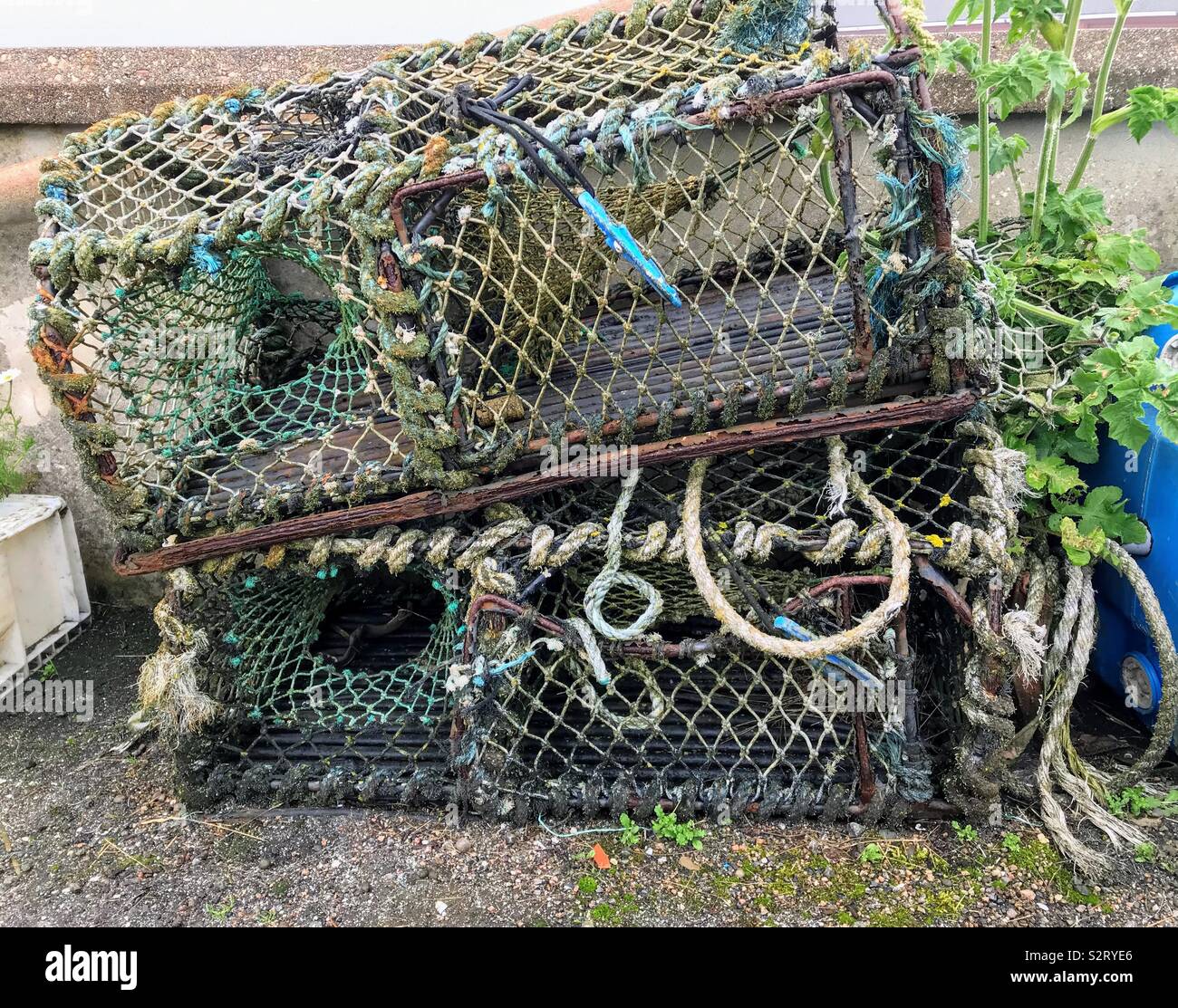 Crab or lobster traps Stock Photo Alamy