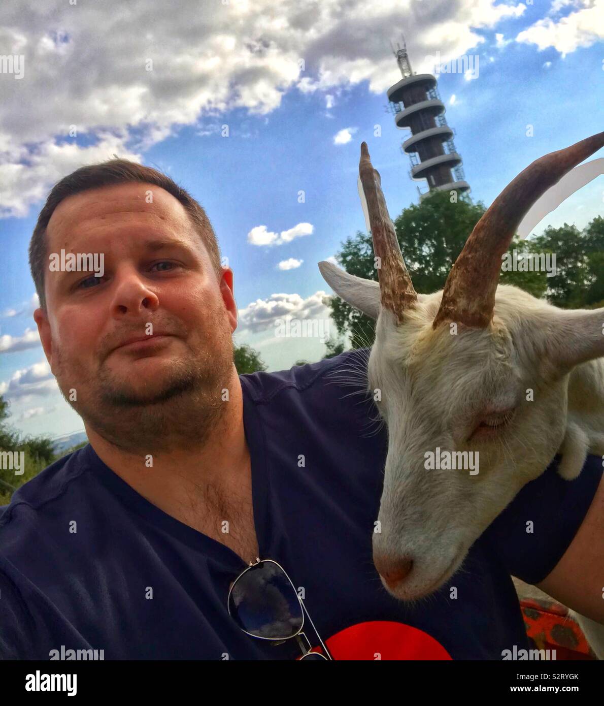 Street goats bristol - Smartphone Captured Stock Image