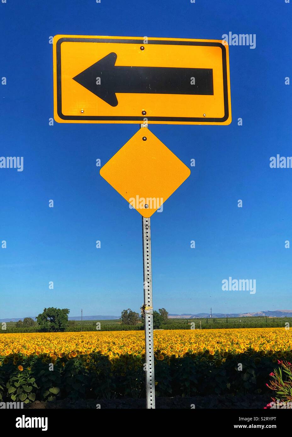 Yellow sign with black arrow Stock Photo Alamy